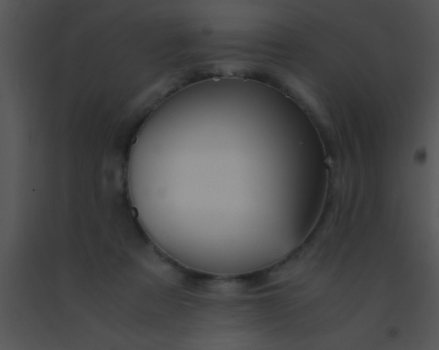 X0000091550313200708311400
