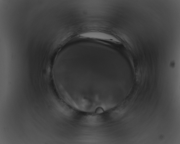X0000091550314200708311400