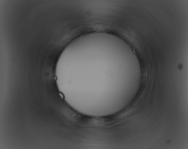 X0000091550317200708311400