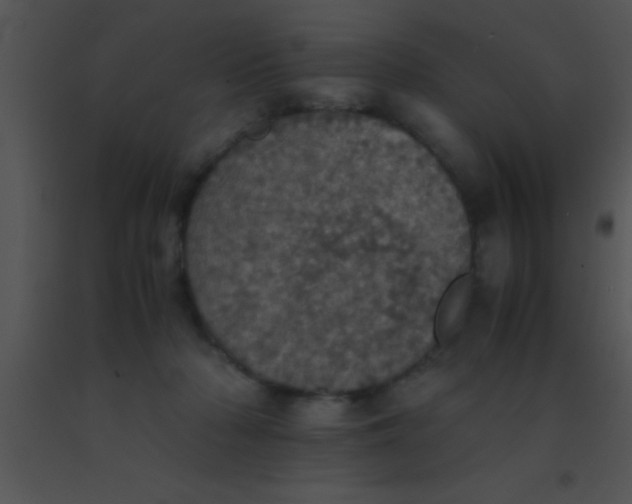X0000091550318200708311400