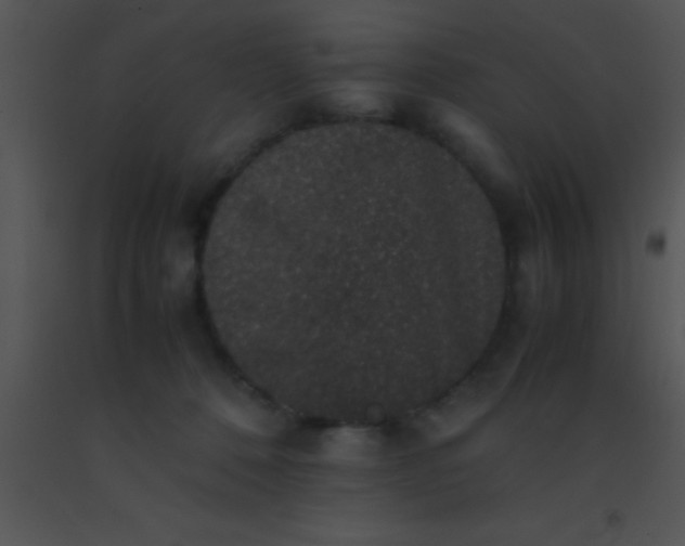 X0000091550320200708311400