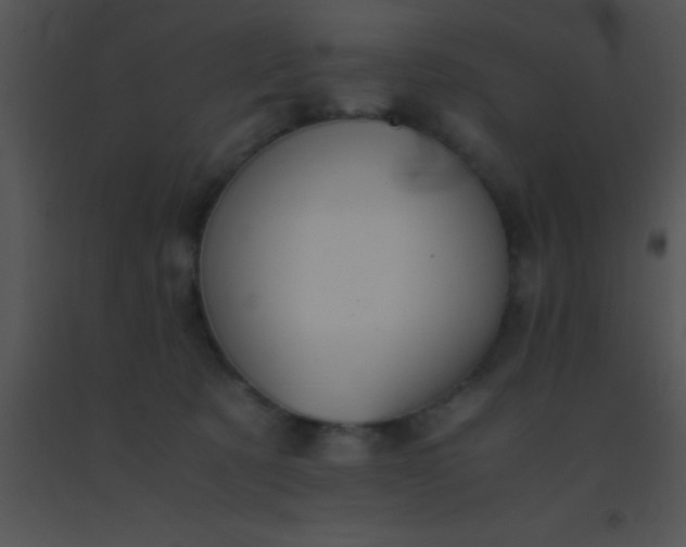 X0000091550321200708311359