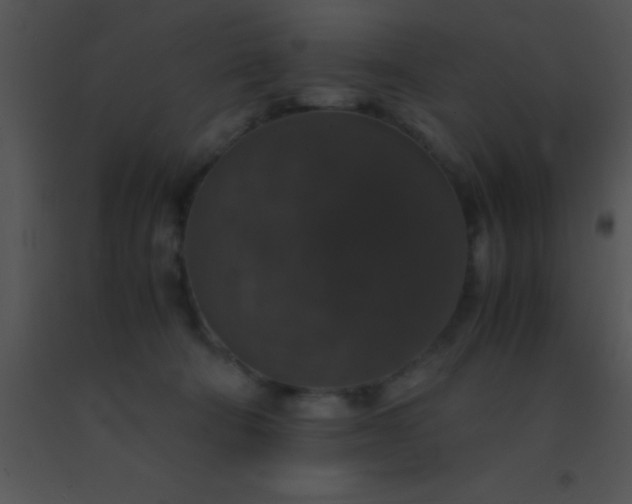 X0000091550322200708311359