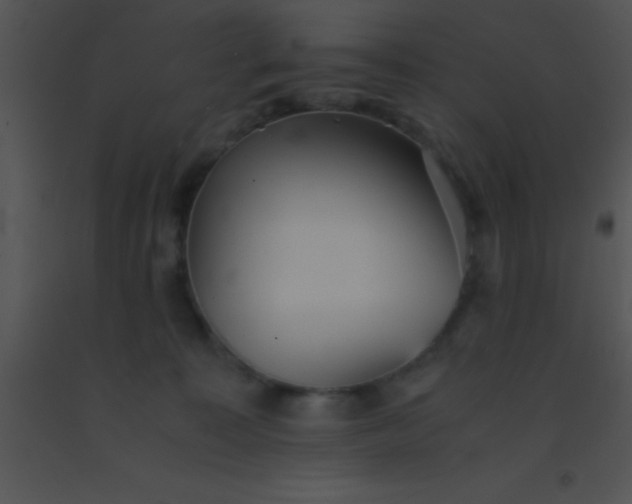 X0000091550323200708311359