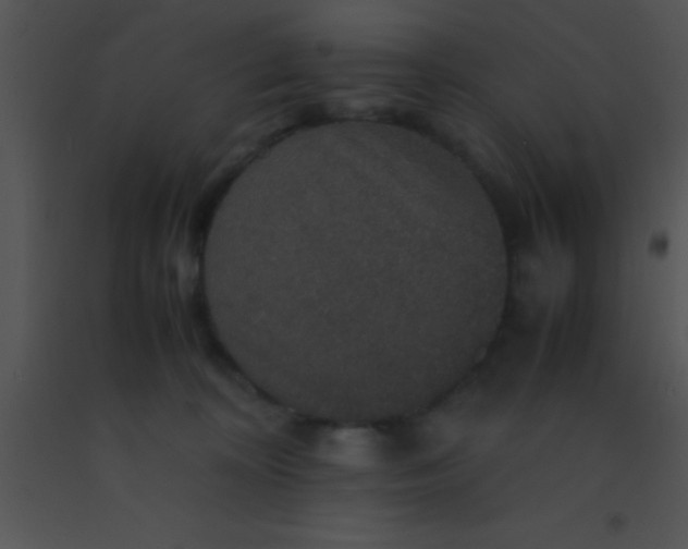 X0000091550324200708311359