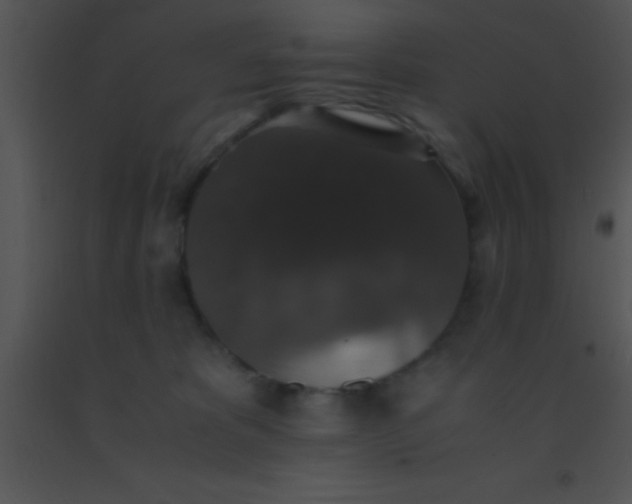 X0000091550325200708311359