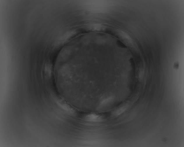 X0000091550326200708311359