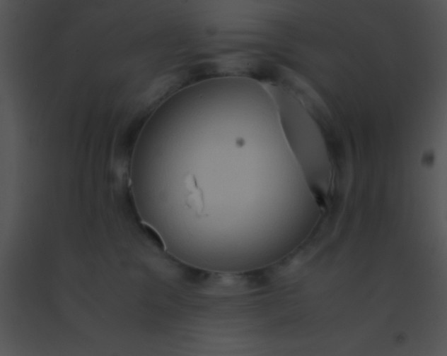 X0000091550329200708311359
