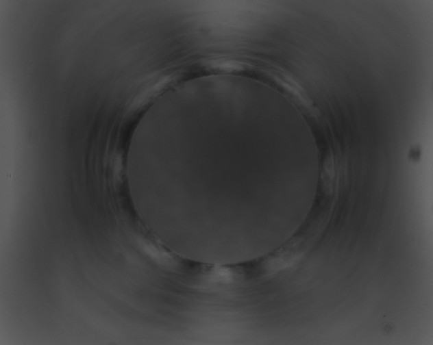 X0000091550330200708311359