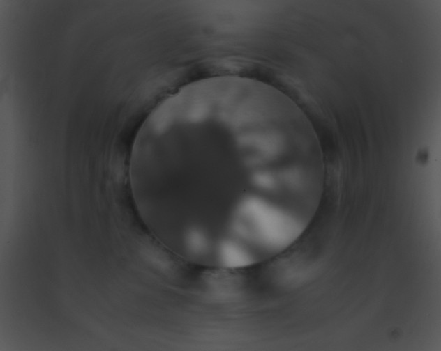X0000091550331200708311359