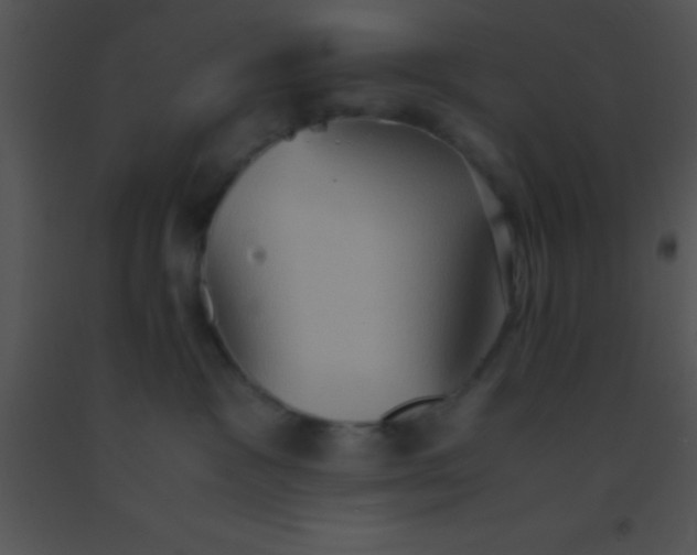 X0000091550333200708311359