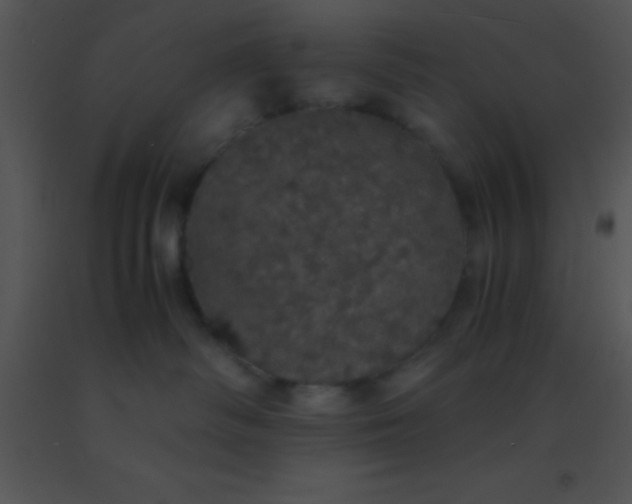 X0000091550334200708311359
