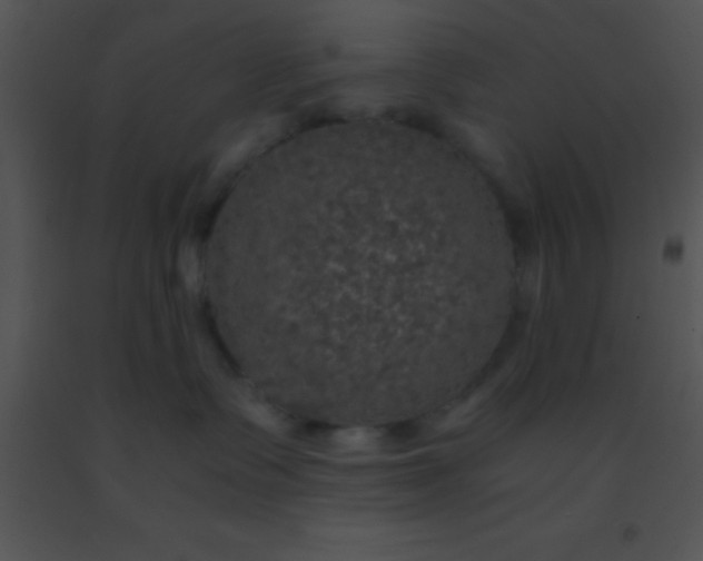 X0000091550335200708311359