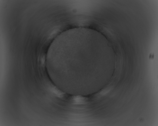 X0000091550336200708311359