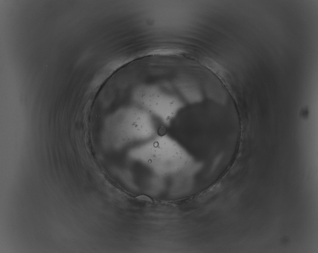 X0000091550337200708311359