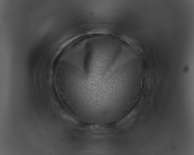 X0000091550338200708311359