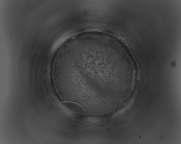 X0000091550341200708311359