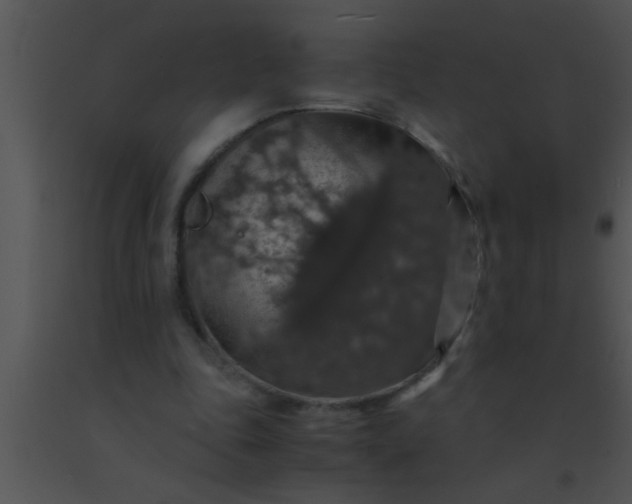 X0000091550343200708311359