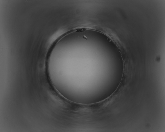 X0000091550344200708311359