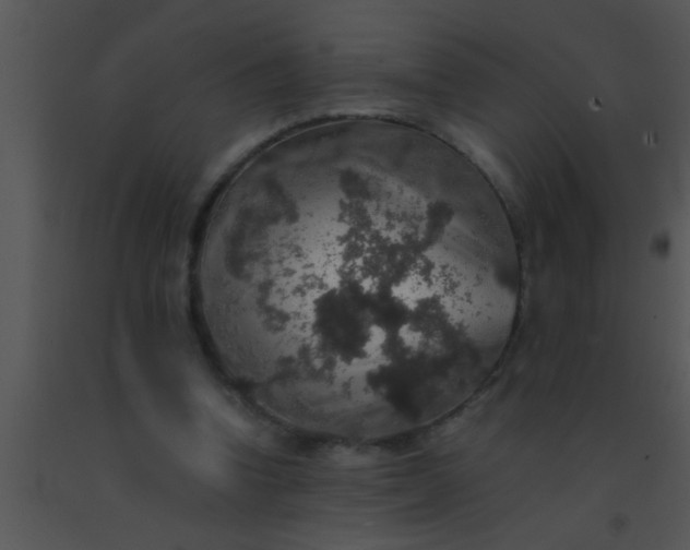 X0000091550346200708311359