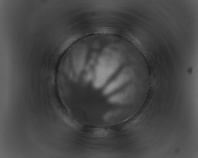 X0000091550347200708311359