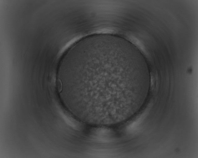 X0000091550348200708311359