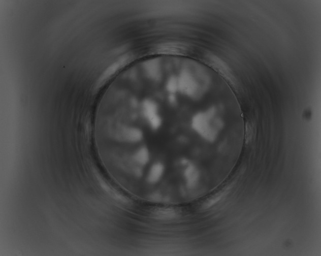 X0000091550349200708311359