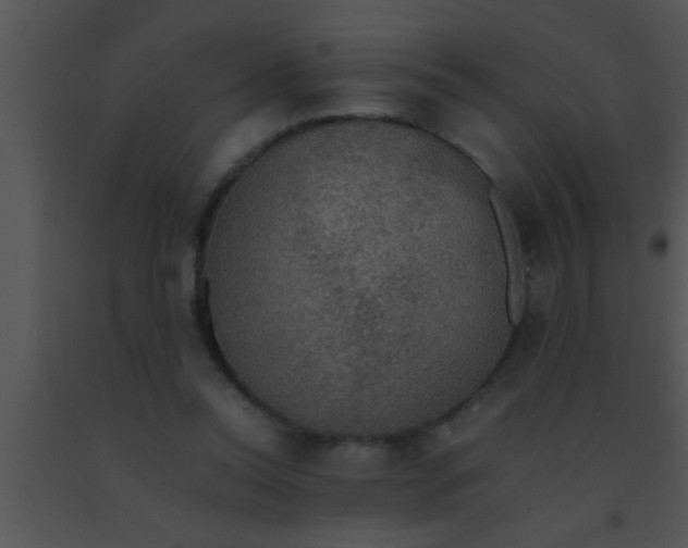 X0000091550350200708311359