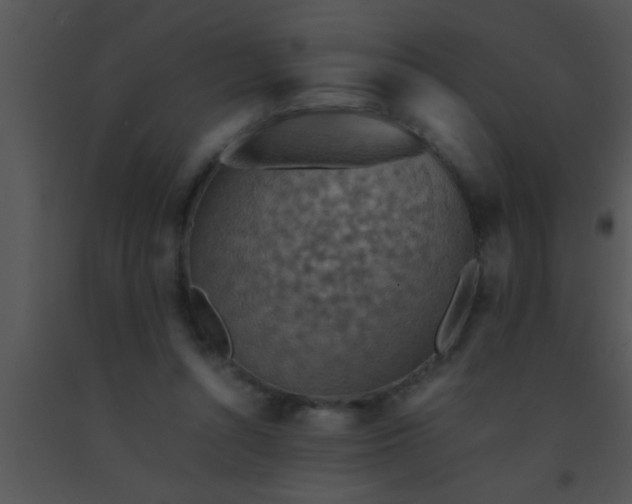 X0000091550352200708311359