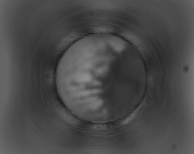 X0000091550353200708311359