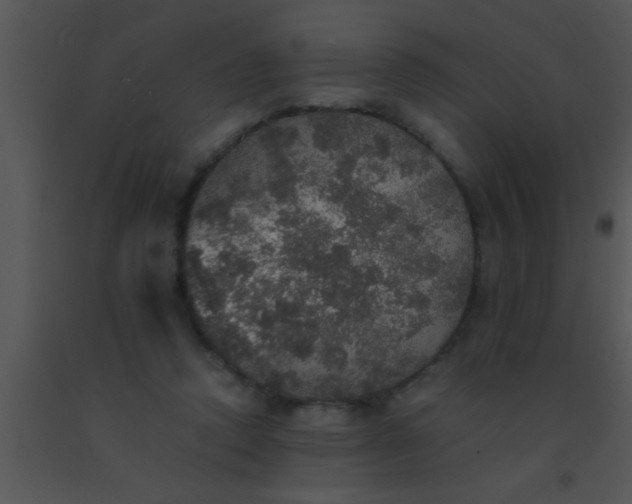 X0000091550354200708311359