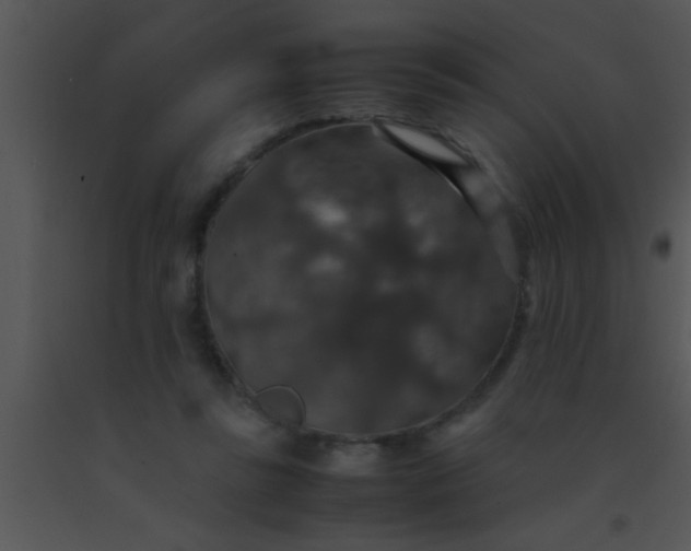 X0000091550355200708311359