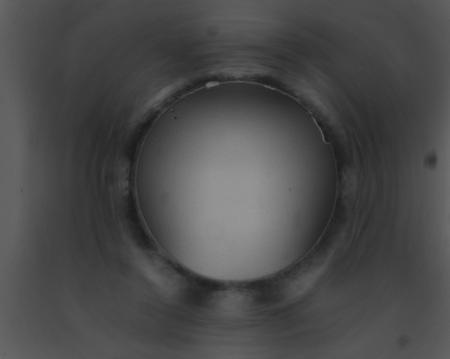 X0000091550356200708311359