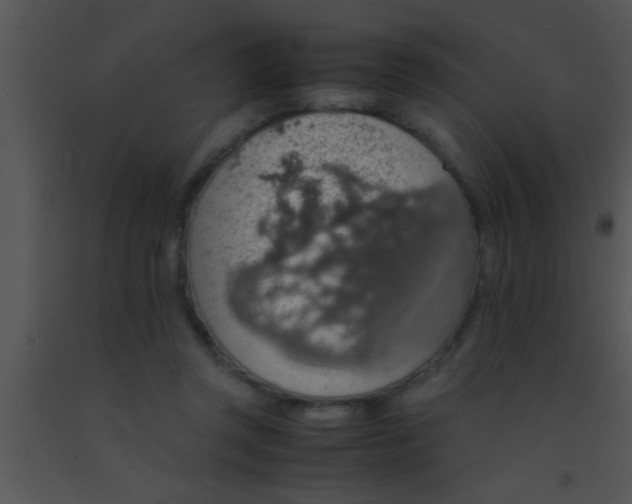 X0000091550357200708311359
