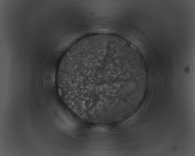 X0000091550358200708311359
