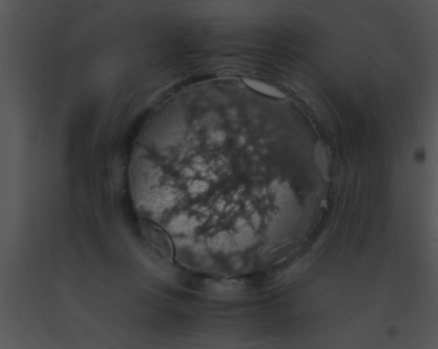 X0000091550359200708311359