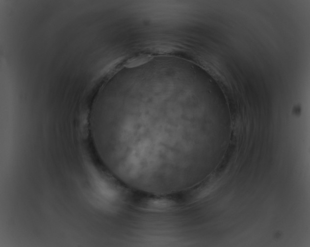 X0000091550360200708311359