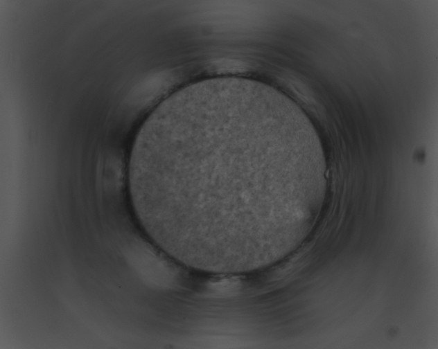 X0000091550362200708311359