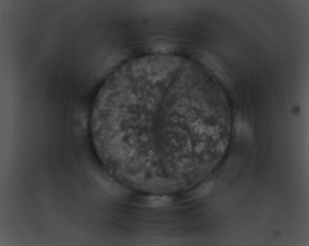 X0000091550363200708311359