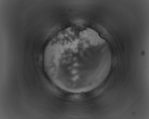 X0000091550365200708311359