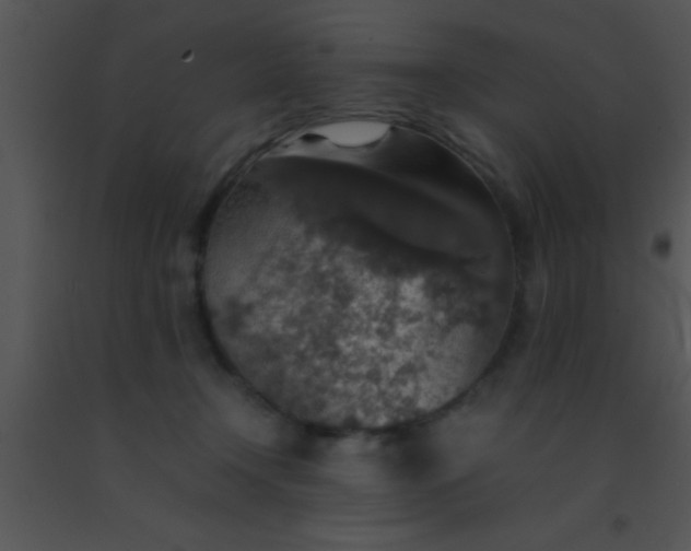 X0000091550366200708311359