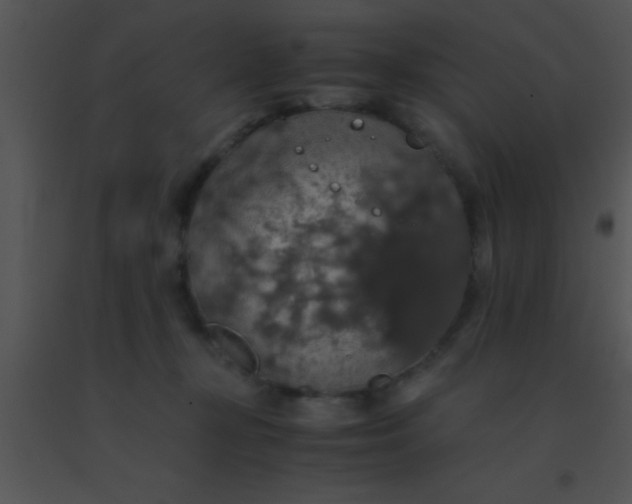 X0000091550367200708311359