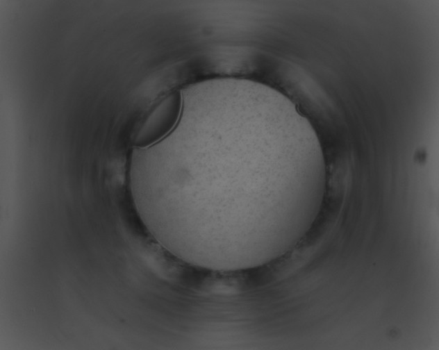 X0000091550368200708311359