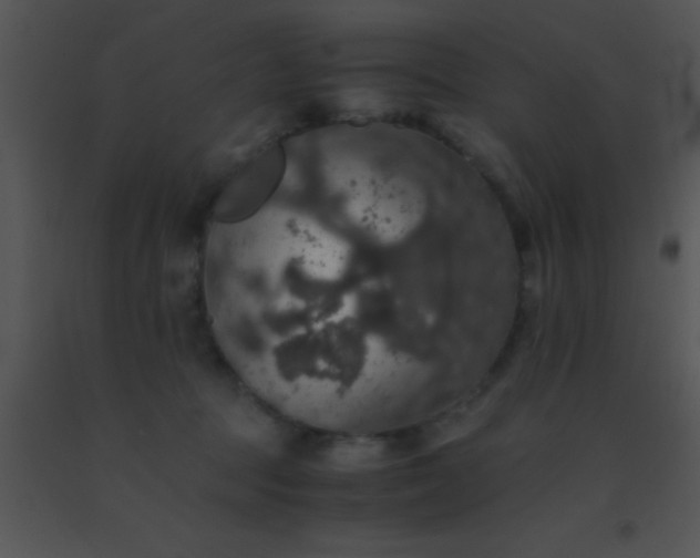 X0000091550369200708311359