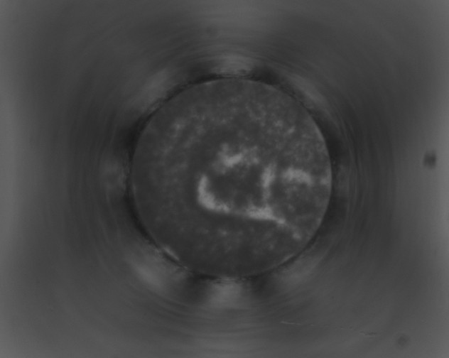 X0000091550370200708311359