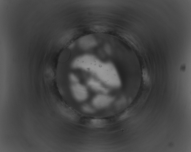 X0000091550371200708311359