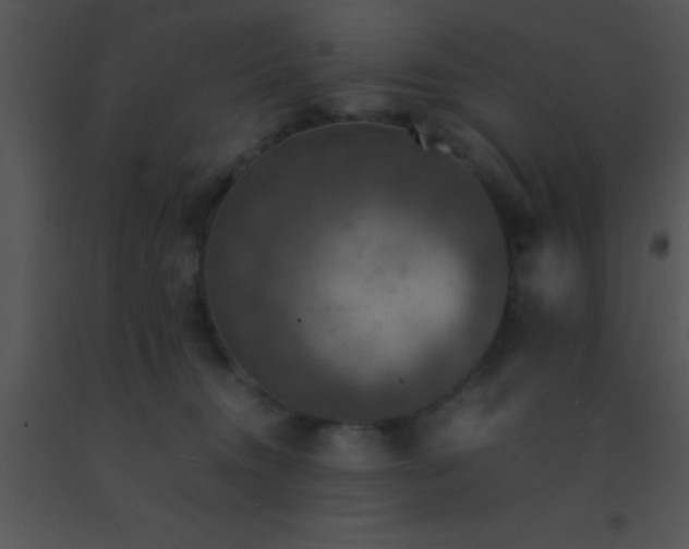 X0000091550372200708311359