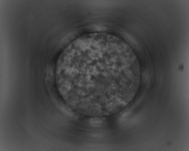 X0000091550373200708311359