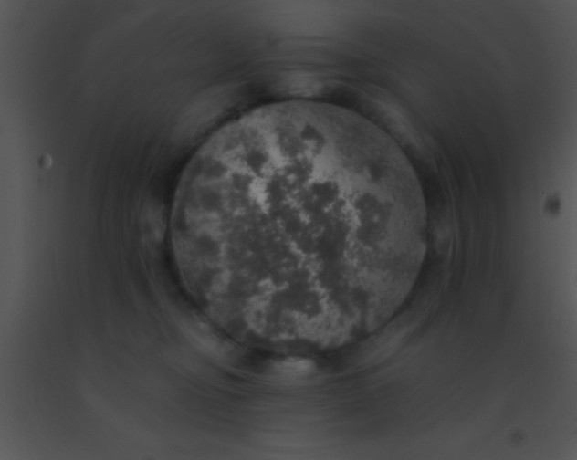 X0000091550374200708311359