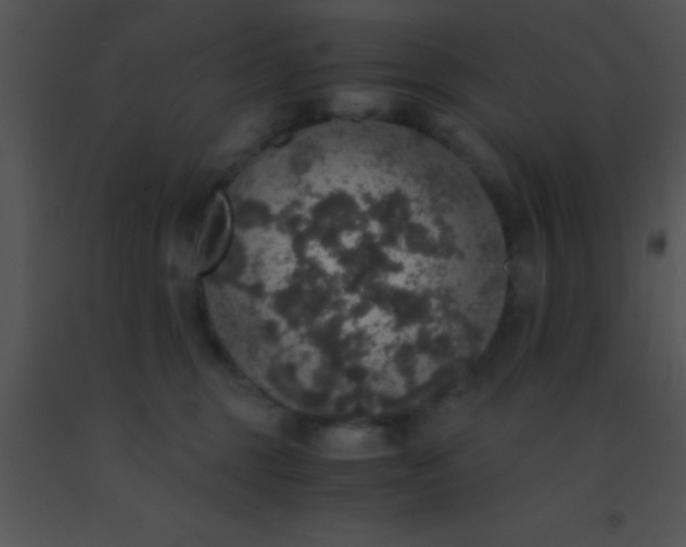 X0000091550375200708311359